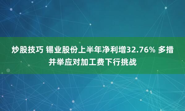 炒股技巧 锡业股份上半年净利增32.76% 多措并举应对加工费下行挑战