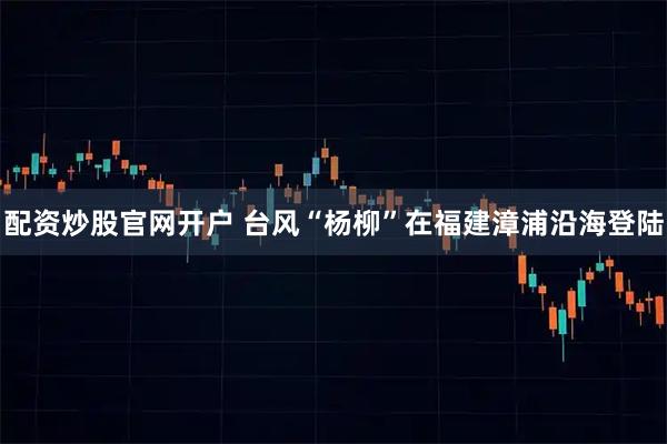 配资炒股官网开户 台风“杨柳”在福建漳浦沿海登陆