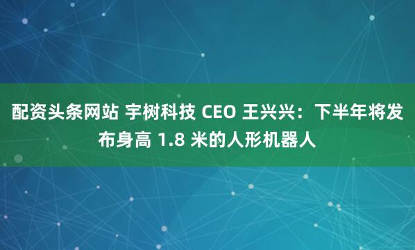 配资头条网站 宇树科技 CEO 王兴兴：下半年将发布身高 1.8 米的人形机器人