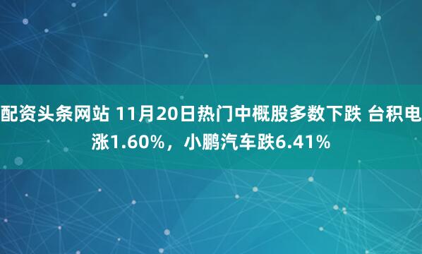 配资头条网站 11月20日热门中概股多数下跌 台积电涨1.60%，小鹏汽车跌6.41%