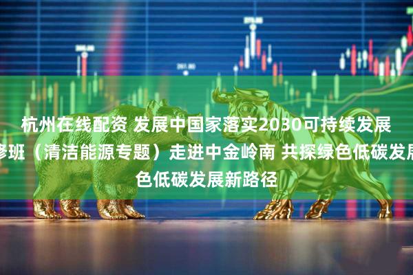杭州在线配资 发展中国家落实2030可持续发展议程研修班（清洁能源专题）走进中金岭南 共探绿色低碳发展新路径