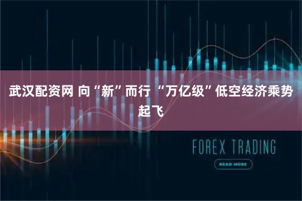 武汉配资网 向“新”而行 “万亿级”低空经济乘势起飞