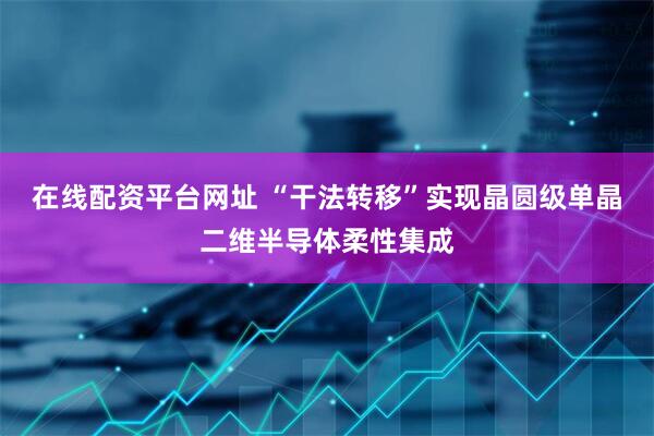 在线配资平台网址 “干法转移”实现晶圆级单晶二维半导体柔性集成